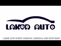 لیکر: ارائه دهنده راه حل باتری سفارشی شما